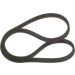 Keilrippenriemen SEAT,VW 1987946209