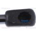 GASFEDER, KOFFER-/LADERAUM 871016279