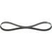 Keilrippenriemen FORD,MAZDA Elastic 1987946125