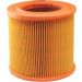 FILTRON Luftfilter AR 366/1