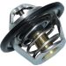 KAMOKA Thermostat, Kühlmittel 7710079
