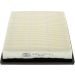 CHAMPION Luftfilter CAF100640P CHAMPION Luftfilter CAF100640P