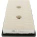 CHAMPION Luftfilter CAF100869P