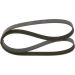 Keilrippenriemen TOYOTA,FIAT,UAZ,GAZ 1987947885