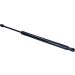Gasfeder, Hinten L 489 910N 165876