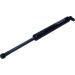 Gasfeder, Koffer-/Laderaum 12-0234