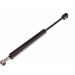 Gasfeder, Koffer-/Laderaum 12-0067