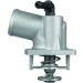 Integralthermostat mit Dichtung TI 55 92D