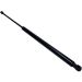Gasfeder, Koffer-/Laderaum 224595 Gasfeder, Koffer-/Laderaum 224595