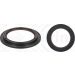 Dichtring RENAULT 697.520