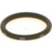 Bosch Automotive O-Ring 1410257041