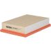 FILTRON Luftfilter AP 109/9