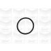PA 886 Wasserpumpe CITROEN C5,PEUGEOT 407 00 PA886