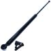 Gasfeder, Koffer-/Laderaum 12-0256