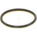 Bosch Automotive O-Ring 1410257029