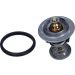 Thermostat, Kühlmittel TH6950.82J