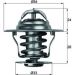 Thermostateinsatz mit Dichtung OPEL OHC Motor 80 BEHR TX 11 92D