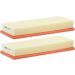 FILTRON Luftfilter AP 118/3-2x