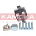 KAMOKA Radlagersatz 5500138 KAMOKA Radlagersatz 5500138