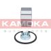 KAMOKA Radlagersatz 5600089 KAMOKA Radlagersatz 5600089