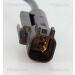 Sensor, Raddrehzahl 818042521