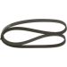 Keilrippenriemen HONDA,TOYOTA,MITSUBISHI,RENAULT 1987947878 Keilrippenriemen HONDA,TOYOTA,MITSUBISHI,RENAULT 1987947878