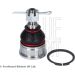 Gelenk - Radaufhängung Honda P. Civic 01-05 Le/Pr ADH28627 Gelenk - Radaufhängung Honda P. Civic 01-05 Le/Pr ADH28627