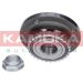 KAMOKA Radlagersatz 5500127