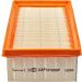 CHAMPION Luftfilter CAF101069P CHAMPION Luftfilter CAF101069P
