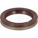 Dichtring BMW 586.676