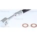 Bremsschlauch 815024122