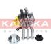 KAMOKA Radlagersatz 5500149 KAMOKA Radlagersatz 5500149