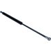 Gasfeder, Koffer-/Laderaum 12-0120