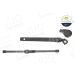 Wischerarm, hinten VW / Audi NEW MOBILITY PARTS 56858