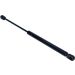 Gasfeder, Koffer-/Laderaum 12-0037