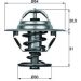 Thermostateinsatz mit Dichtung TX 10 88D