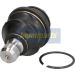 Gelenk - Radaufhängung Nissan P. Navara/Pathfinder 2.5/3.0Dci 05- Lower Le/Pr BJ-136 Gelenk - Radaufhängung Nissan P. Navara/Pathfinder 2.5/3.0Dci 05- Lower Le/Pr BJ-136