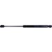 Gasfeder, Vorne L 365 360N 929005 Gasfeder, Vorne L 365 360N 929005
