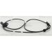 Sensor, Raddrehzahl 818016237