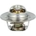 Thermostat, Kühlmittel 725016