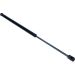 Gasfeder, Koffer-/Laderaum 12-0082