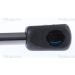 Gasfeder, Motorhaube 871029151