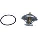 Thermostat, Kühlmittel 352317100190
