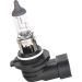 H10 12V 42W PURE LIGHT BOSCH KFZ-GLUEHLAMPE Pure Light WS 1987302083
