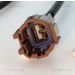 Sensor, Raddrehzahl 818014308