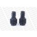 Protection Kit-Staubschutzsatz VA RENAULT Megane II,Scenic II 02 PROTECTION KIT PK162