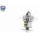 VEMO Thermostat, Kühlmittel V15-99-1894 Expert Kits + VEMO Thermostat, Kühlmittel V15-99-1894 Expert Kits +