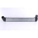 Ladeluftkühler PKW RENAULT MEGANE 2.0 DCI 08 96545