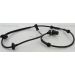 Sensor, Raddrehzahl 818029213