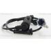 Sensor, Raddrehzahl 818014407